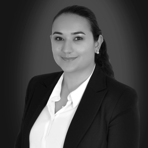 Elif Aksöz Bayraktar